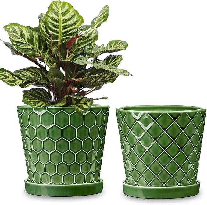 BUYMAX Plant Pots Indoor –6 inch Ceramic Flower Pot with Drainage Hole and Ceramic Tray - Gardening Home Desktop Office Windowsill Decoration Gift, Set of 2(Patina) by GreenHaven Gardens