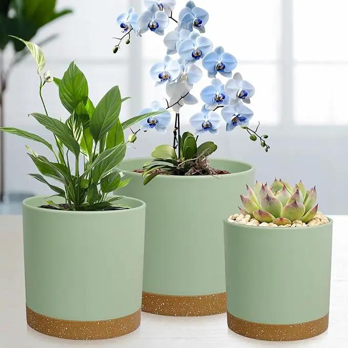 5 Pack Cylindrical Flower Pots with 7/6.5/6/5/4 inch, Modern Small Plastic Plant Pots with Drainage Holes & Saucers, Round Planter Pots for Outdoor, Indoor & Office Decor (Green Brown) by GreenHaven Gardens
