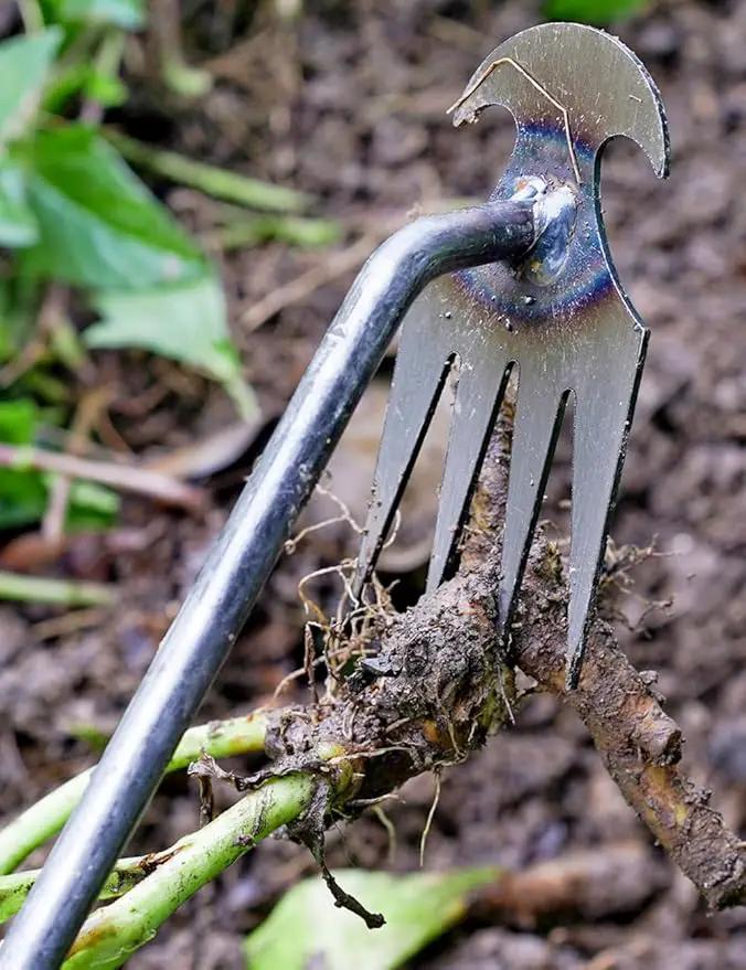 TOYPOPOR New Weeding Artifact Uprooting Weeding Tool, 16" Weed Puller, 4 Teeth Manganese Steel Forged Hand Pulling Weeder for Garden Yard Farm Weed Removal by GreenHaven Gardens
