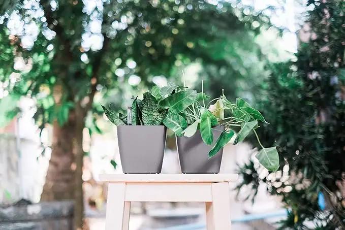 GARDENIX DECOR 5" Self Watering pots for Indoor Plants - Flower Pot with Water Level Indicator for Plants, Grow Tracking Tool - Self Watering Planter Plant Pot – 2 Pack Gray by GreenHaven Gardens