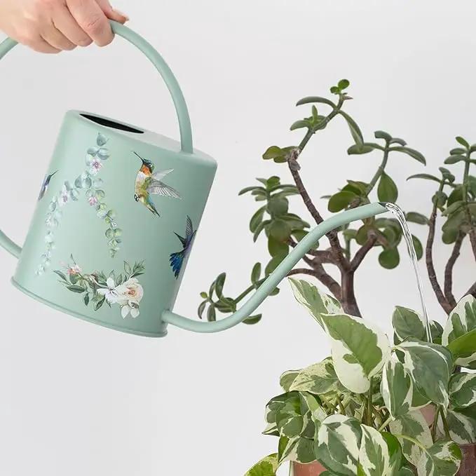 Watering Can for Indoor House Plants - Cute Decorative Metal Gardening Small Water Can for Houseplants & Flowers with Long Spout - 1.5L 51floz 0.4 Gallon (Hummingbird Sage) by GreenHaven Gardens