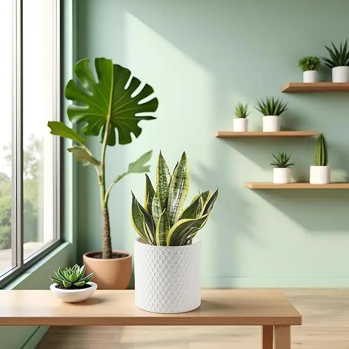 Docrin Ceramic Planters Indoor, 8 Inch Plant Pot with Drainage Holes for Home/Office - White Honeycomb