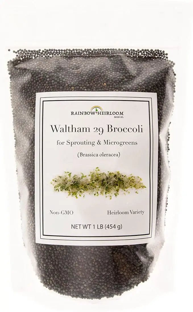 Broccoli Seeds for Sprouting & Microgreens | Waltham 29 Variety | Non GMO & Heirloom Seeds | Bulk 1 LB (16 oz) Resealable Bag | Rainbow Heirloom Seed Co. by GreenHaven Gardens