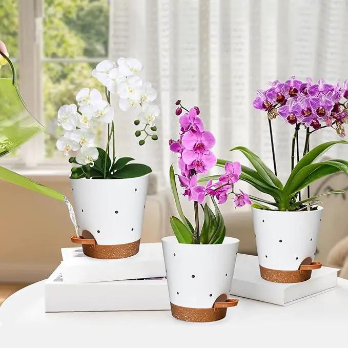 Orchid Pots with Holes, 6 Inch Self Watering Orchid Pot 2 Pack Plastic Plant Pots for Orchid, Flower (White+Brown) by GreenHaven Gardens