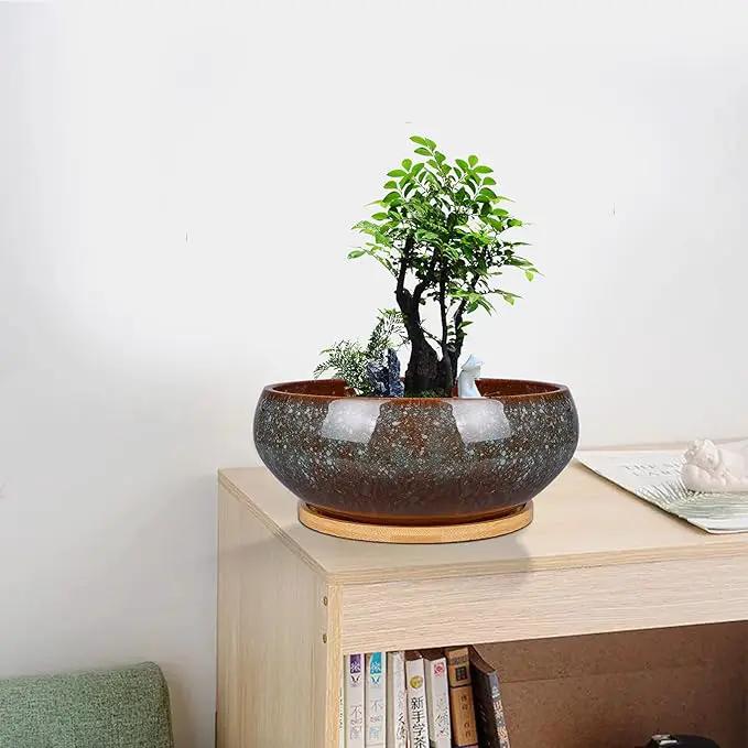 8 Inch Ceramic Bonsai Planter Pot, Glazed Shallow Succulent Planter with Drainage Hole and Bamboo Saucer for Indoor Plants, Brown