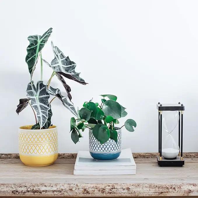 Ceramic Plant Pots, 6 + 4.7 inch Yellow Plant Pot, Flower Pots for Indoor Plants， Planter with Drainage Hole for Succulent Orchid Snake Plants Cactus by GreenHaven Gardens