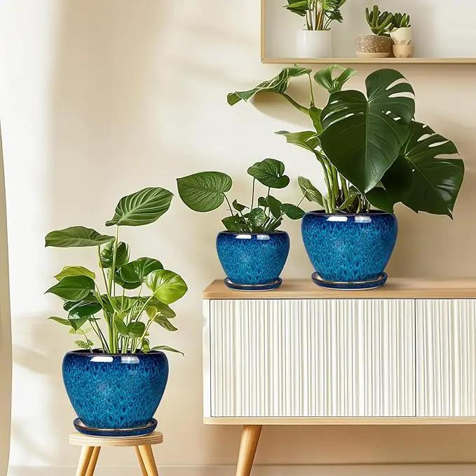Ceramic Modern Glaze Succulent Planter Pot with Drainage Hole and Saucer 6 Inch Round Flower Plant Pot for Indoor Outdoor Herb Snake Plants by GreenHaven Gardens