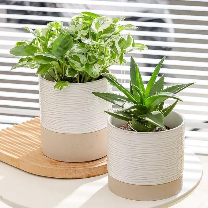 Nihow Self Watering Plant Pot: 6 Inch Ceramic Planter with Drainage Hole & Water Storage Plus for Indoor & Outdoor Plants - Cylinder Round Flower Pot for Succulent/Herbs/Violets - Cream White & Brown by GreenHaven Gardens