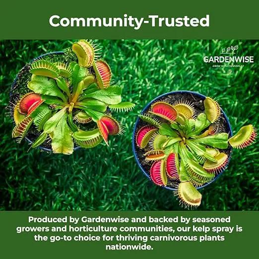100% Organic Marina Mist Carnivorous Plant Food | Liquid Kelp Foliar Spray for Plants - Kelp Fertilizer for Venus Flytraps, Sundew, Butterworts, Pitcher Plants 8 Oz by GreenHaven Gardens