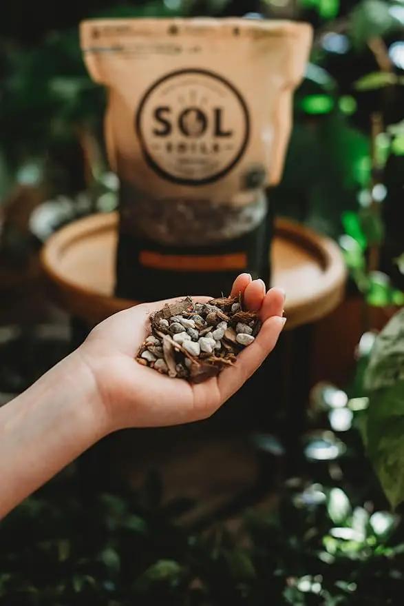 Sol Soils Cactus Gritty Mix (1 Gallon) by GreenHaven Gardens
