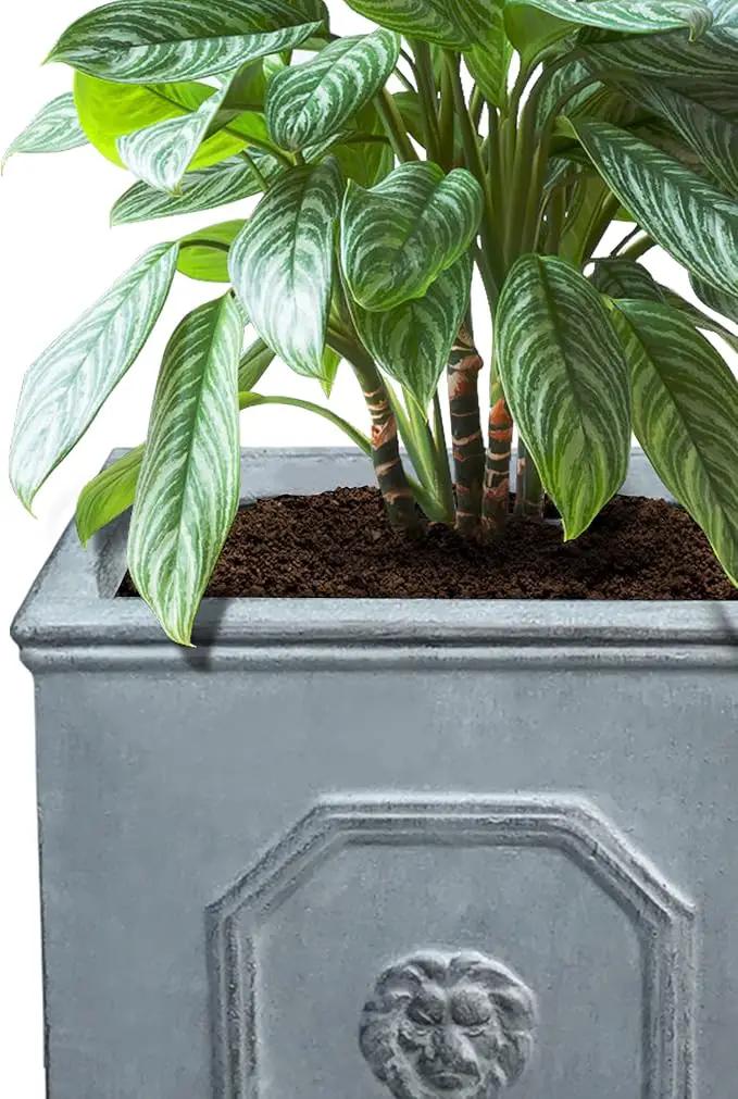 Kante Square Lion Head Concrete Planter Set of 2, Classic English Style Plant Pot with Drainage Hole and Rubber Plug for Indoor Outdoor, 10.2"x10.2"x10.2" and 12.6"x12.6"x12.6" Antique Gray by GreenHaven Gardens