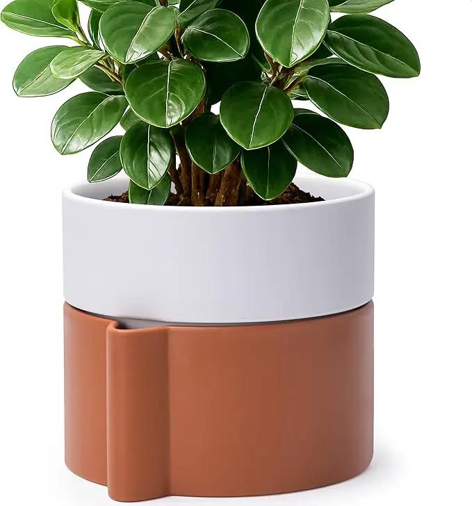 8 Inch Self-Watering Planter Pot with Terracotta Insert, Deep Water Reservoir, and Ceramic-Alike BPA-Free Plastic Planter Pot for Plant, Modern Planter for Houseplants, Terracotta/White, 53-B-T-6 by GreenHaven Gardens
