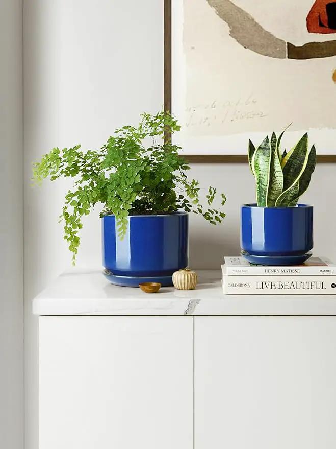 LE TAUCI Ceramic Plant Pots, 4.3+5.3+6.8 inch, Set of 3, Planters with Drainage Hole and Saucer, Indoor Flower Pot with Hole Mesh Pad, Gifts for Mom, Sapphire Blue by GreenHaven Gardens