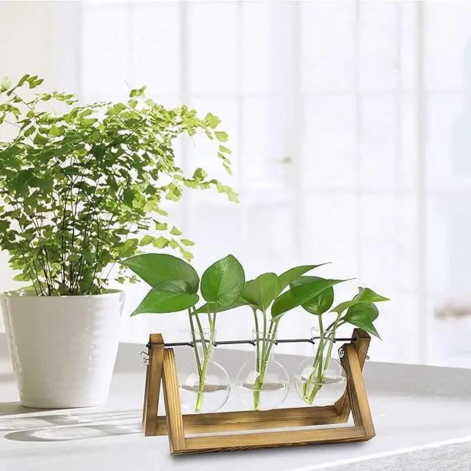 Kingbuy Desktop Glass Planter Iron and Wooden Stand Plant Terrariums for Indoor Office Desk Decor Accessories, 3 Bulb Vases, Brown by GreenHaven Gardens