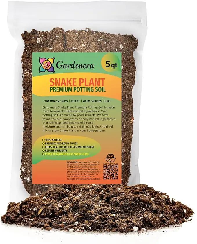 Premium Snake Plant Potting Soil Mix, Green Sansevieria Trifascatia Zeylanica Plants, Plant or Re-Pot Your Snake Plant - (5 Quart Bag) by GreenHaven Gardens