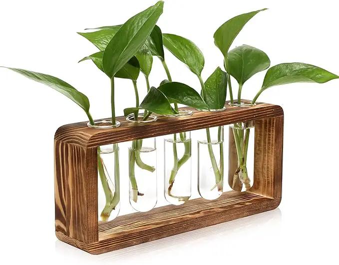 Glass Plant Propagation Station with 5 Test Tubes Planter Vase with Wooden Stand Birthday Gifts for Women Mom Plant Lovers by GreenHaven Gardens