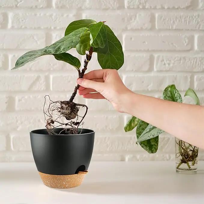 Indoor Pots For Plant Self Watering Plant Pots For Lazy People, 8/7.5/7/6.5/6/5.5/5 Inch,Black Plastic Self Watering Planter For All Houseplants,Succulent, African violets, Flowers And Cactus by GreenHaven Gardens