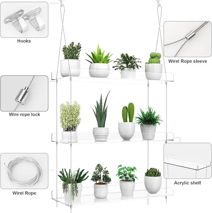2-Tier Hanging Clear Plant Shelves for Windows, Acrylic Window Wall Plant Stand Shelf for Kitchen Indoor Gardens, Flower, Succulents, Herb, Seedling Organization, and Pots Display, 16 Inch per Tier by GreenHaven Gardens