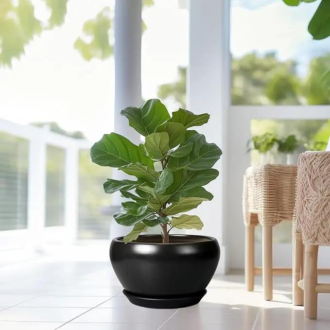 Ceramic Pot for Plants Large - 13 Inch Plant Pot Indoor with Drainage Hole and Saucer Round Planter Decorative Planter Outdoor Flower Pot for House Decor Balcony Black by GreenHaven Gardens