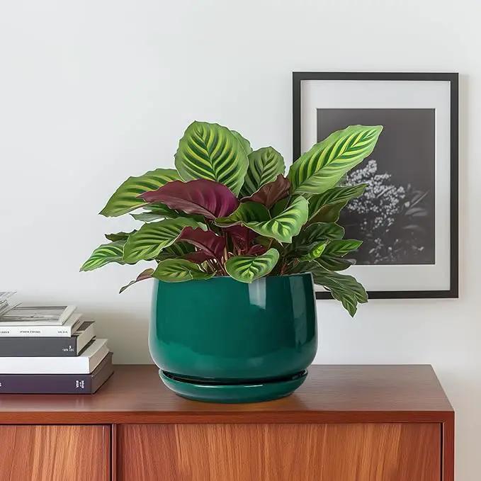 G EPGardening 6 Inch Plant Pot - Ceramic Planter for Indoor Plants, Round Planter with Drainage and Ceramic Tray, Flower Pots for Outdoor, Modern House Decor, Gift for Men Women, Green by GreenHaven Gardens