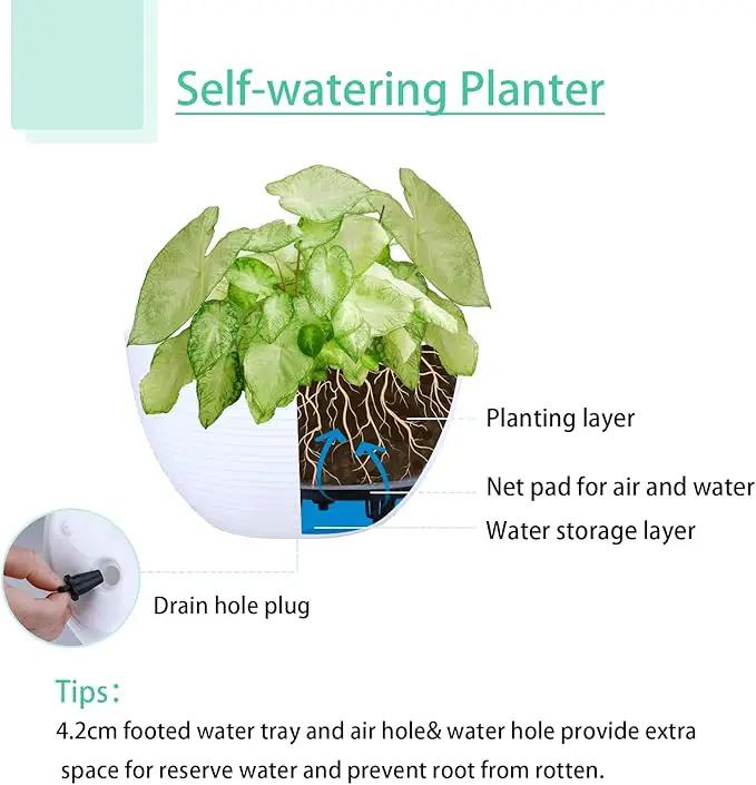 summer flower 2 Pack Self Watering Hanging Planters 9.9 Inch Hanging Baskets Plant Pots for Indoor Outdoor Hanging Plant Holder for Garden Porch Ceiling -White, Plant Not Included by GreenHaven Gardens