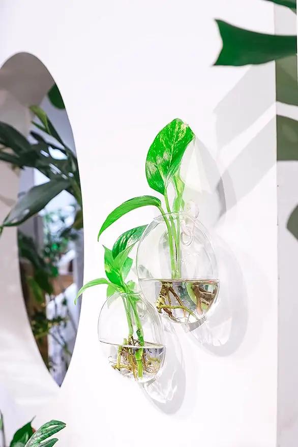 Ivolador Wall Hanging Planter Propagation Station Glass Flower Vase for Hydroponics Plants, Home Office Living Room Decor Gift, Set of 4 by GreenHaven Gardens