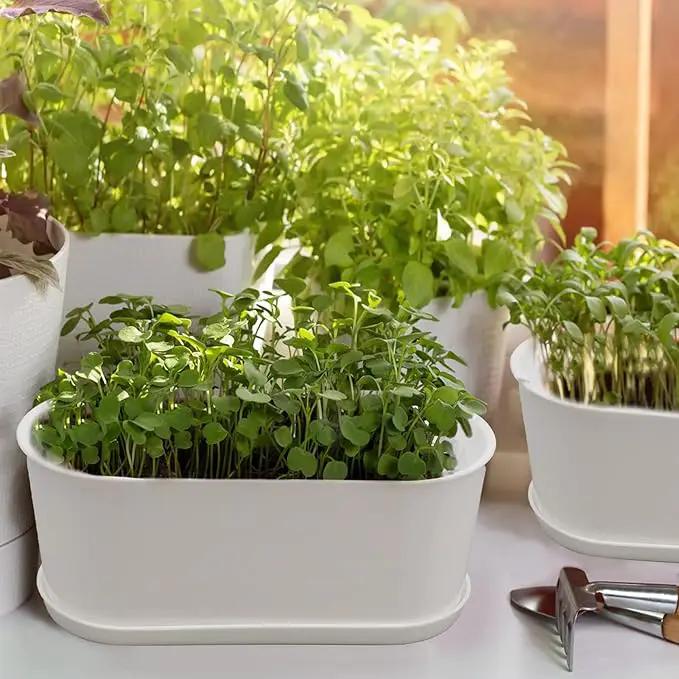5-Pack Herb Planter,Window Boxes Planters with Multiple Drainage Holes,8.5" x 3.3" Oval Herb Garden Planter indoor/outdoor for Grow Plants, Flowers or Succulents, Deck Railing Window Planter Box by GreenHaven Gardens