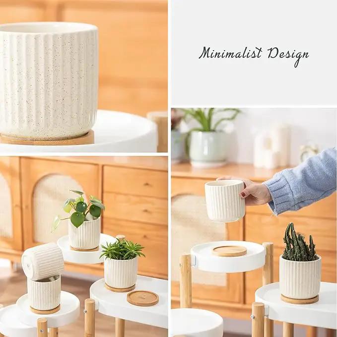 TAMAYKIM 4 Inch Ceramic Plant Pots with Drainage Holes, Modern Flower Planter with Saucer for Indoor Plants, Succulent, Cactus & Herbs, Beige, Set of 4 (Plants Not Included) by GreenHaven Gardens