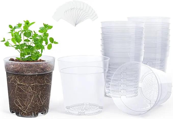 homenote Clear Nursery Pots for Plants,7 Inch Plant Pot for Planting Plastic Seedling with Drainage Holes Seed Starter Flower High Transparency with 20 Labels (15 Pack) by GreenHaven Gardens