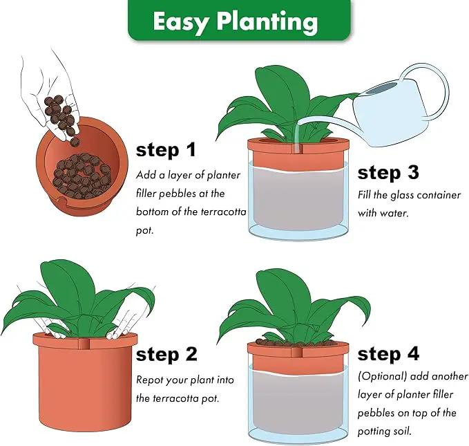 Phoenix Vine 10 Inch Self Watering Planter, White Terracotta Pot for Plants, Indoor Cylinder Terra Cotta Pot with Glass Vase by GreenHaven Gardens