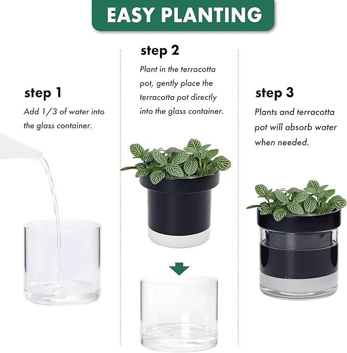 Phoenix Vine 4 Inch Self Watering Terracotta Planter, Black Terracotta Clay Pot with Glass Reservoir for Indoor Plants, Herbs, Flowers, Set of 1, 52-C-E-1 by GreenHaven Gardens