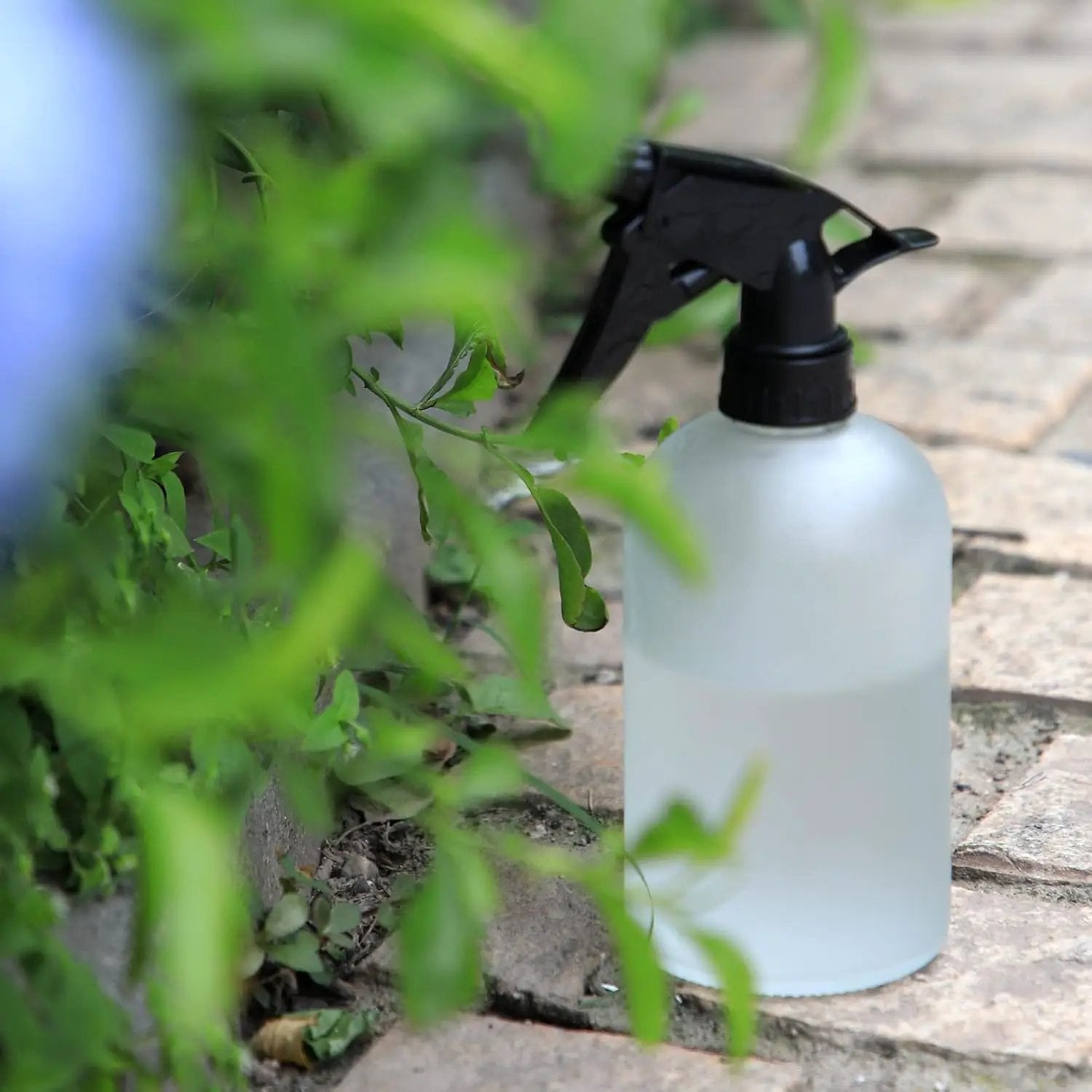 OFFIDIX Glass Spray Bottle,Plant Mister,Pressure Watering Can,Water Spray Bottle with Adjustable Nozzle,0.43L/15.17oz Handheld Spray Bottles for Outdoor Indoor Garden,Cleaning Solutions（Frosted Clear） by GreenHaven Gardens