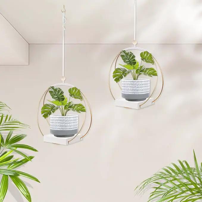 2 Pack Hanging Planter Holder for Indoor Plants, Plant Hanger with Sturdy Wood Base,Modern Boho Macrame Wall Ceiling Window Stands(Plants/Pots Not Included) by GreenHaven Gardens