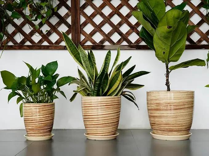 10 Inch Plant Pot Ceramic Pots for Plants with Drainage Hole and Saucer Round Flower Pot for Home Patio Garden Office Yellow by GreenHaven Gardens