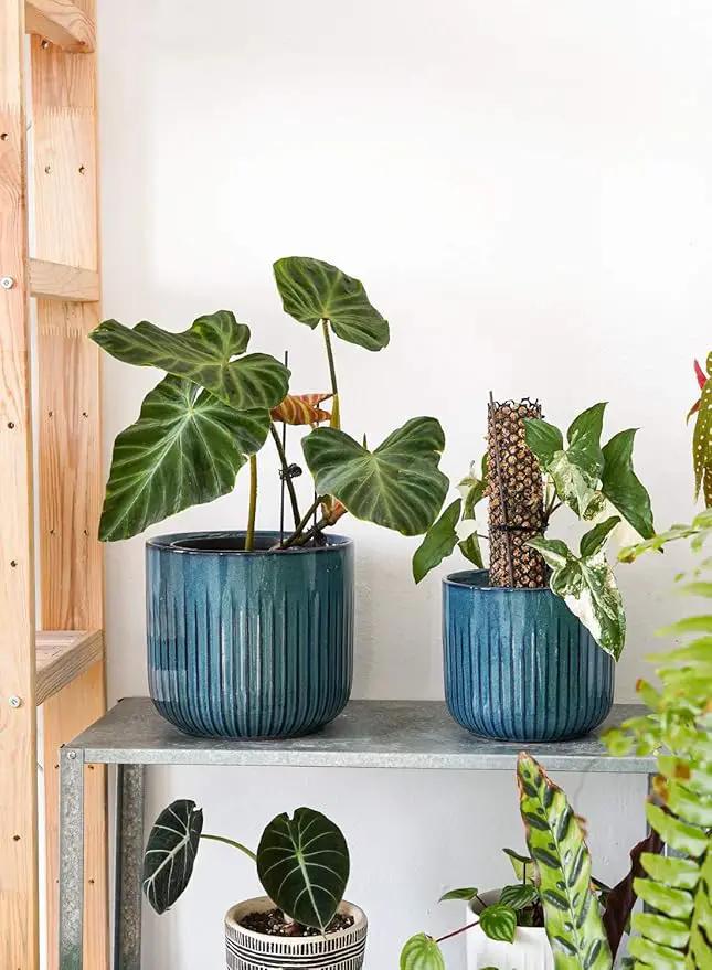 LE TAUCI Fluted Ceramic Planters Set of 3 – 8.3/7 / 5.7 in Ocean Blue Reactive Cylinder Indoor Plant Pots with Drainage Plug & Mesh, Glossy Stoneware Flower Pots for Succulents Herbs by GreenHaven Gardens