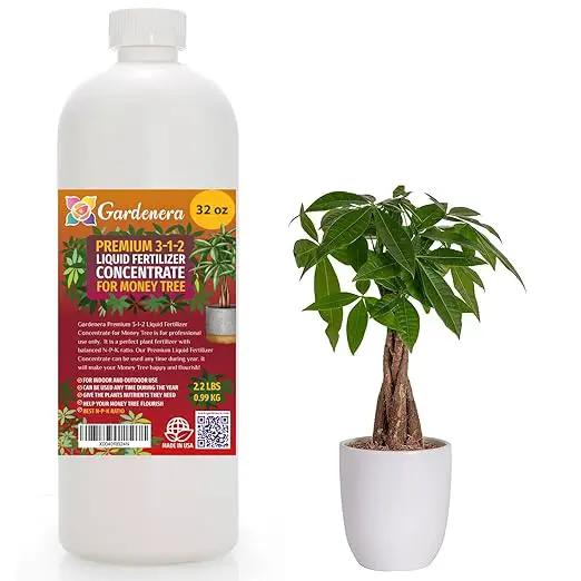 Premium Liquid Money Tree Plant Fertilizer - 3-1-2 Concentrate for Indoor Plants and Flowers by Gardenera | Organic Plant Food for Money Tree - 32oz by GreenHaven Gardens