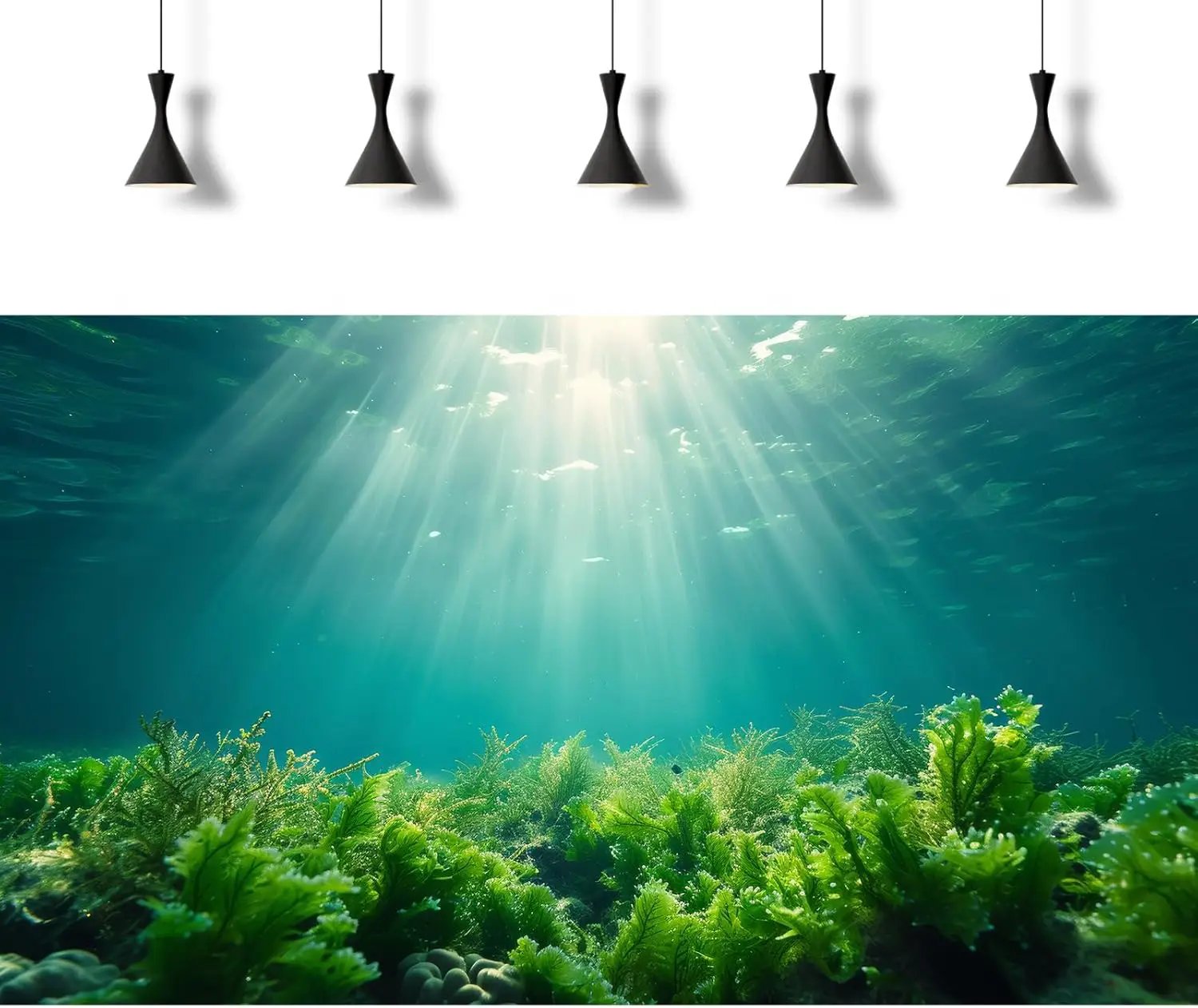 Deep Ocean Fish Tank Background Under The Sea Aquatic Plants Aquarium Background Underwater Corals Sunray Terrarium Backgrounds Tropical Fish Ocean World Aquarium Backgrounds Decorations 48x18in by GreenHaven Gardens