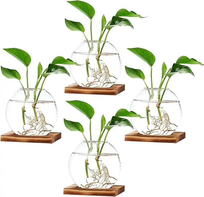 4 Pack Plant Propagation Station with Wooden Base Glass Terrariums for Indoor Plants Decorative Round Vases for Flowers Hydroponic Planter for Home Office Decor by GreenHaven Gardens
