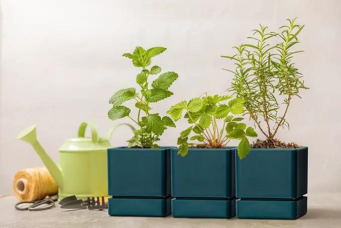 4 Inch Herb Planter Pot, Plastic Planter with Drainage Holes and Saucer, Modern Decorative Gardening Pot for Indoor Plants, Flowers, Herbs, Succulents, Green, Set of 3, 76-Y-C-3 by GreenHaven Gardens