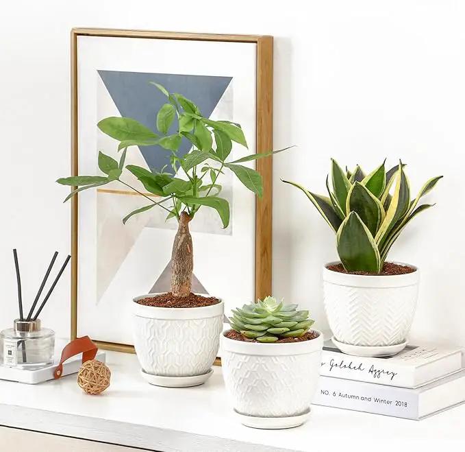 Sureasy Ceramic Indoor Plant Pots - 5.6 Inch Flower Pots for Plants with Drainage Hole and Saucer, Embossed Planter for Succulents, Orchid, Cactus, Indoor Home Decor, Set of 4, White by GreenHaven Gardens