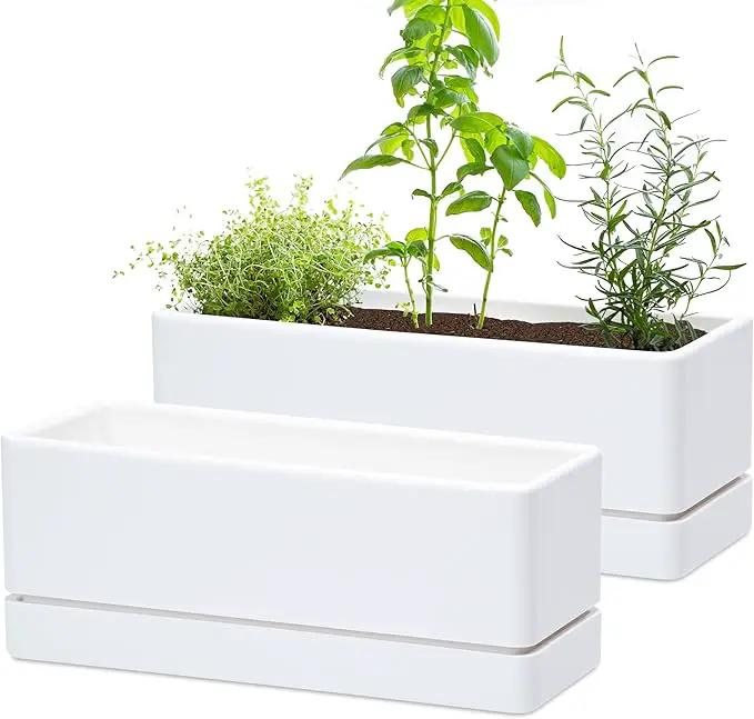 D'vine Dev 12 Inch Window Box Planter, Rectangle Plastic Herb Planter with Drainage Holes and Saucer, Indoor Succulent Cactus Vegetable Pot for Windowsill, Garden Balcony, White, Set of 2, 76-X-A-2 by GreenHaven Gardens