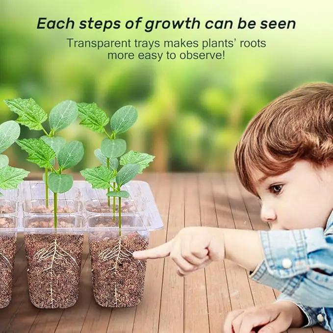 Bonviee 5-Pack Seed Starter Trays, Seed Starter Kit with Adjustable Humidity Dome and Base Indoor Greenhouse Mini Propagator for Seeds Growing Starting (12 Cells Per Tray, Green) by GreenHaven Gardens