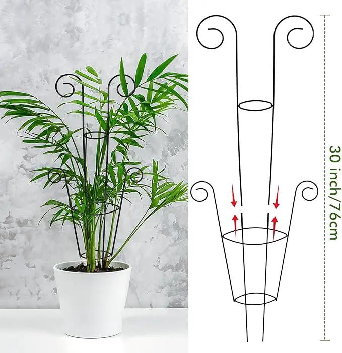 ZOUTOG Trellis for Climbing Plants Indoor 30 Inch, Houseplant Trellis for Potted Plants Metal 4Pcs for Vine Ivy Flower Support,Round Shape,Black by GreenHaven Gardens