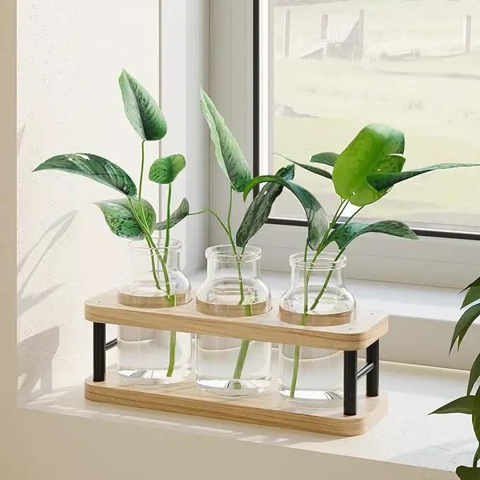 THYGIFTREE Plant Propagation Station with Wooden Stand, Propagation Vases Glass Planters for Indoor Plants Hydroponic Propagating Jars Home Office Decor, Plant Lover Gifts by GreenHaven Gardens