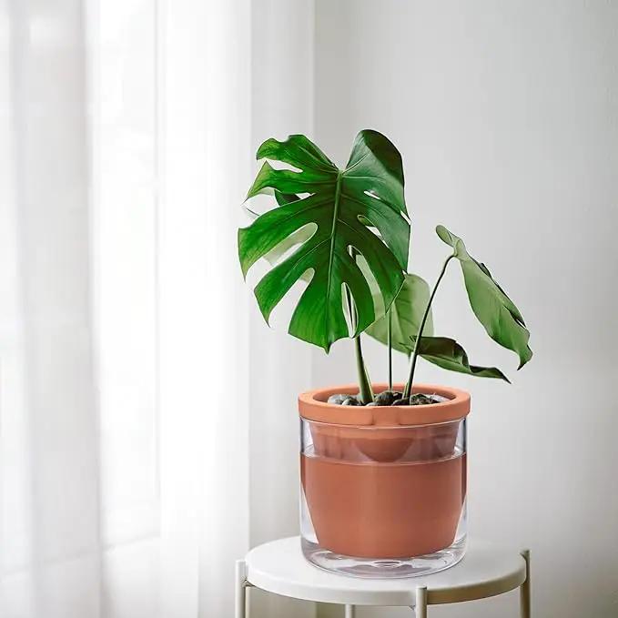 D'vine Dev 8 Inch Design Self Watering Pot for Indoor Plants, Terracotta Planter with Cylinder Glass Cup, 37-X-C-1 by GreenHaven Gardens