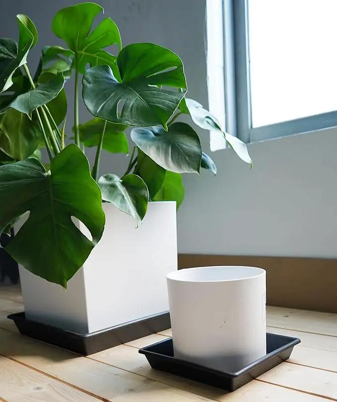 Square Plant Saucer 5 Pack 8 10 12 14 16 18 20 Inch, Flower Pot No Holes Plant Drip Trays, Plant Trays for Pots Heavy Duty Plastic Plant Saucers for Indoors Outdoors by GreenHaven Gardens