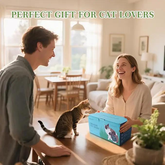 Cat Grass Kit for Indoor Cats - 5X Seed Packets with Handmade Wood Planter | Grow Organic Non-GMO Wheat Grass in 4-7 Days, Aids Digestion & Hairball Control, Ideal Gift for Cat Lovers by GreenHaven Gardens