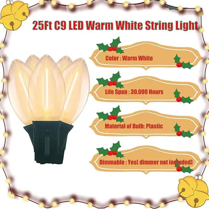 C9 LED Christmas Lights Outdoor, 25 Feet C9 Warm White String Lights Outdoor with 26 LED Clear Bulbs for Indoor Christmas Tree Roofline Holiday Party Garden Patio Backyard Cafe Decoration by GreenHaven Gardens