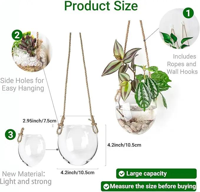 Wall Hanging Glass Planter Air Planter Terrarium Vase Propagation Stations for Hydroponic Plants, Succulent Moss Tillandsias Air Plants Globe,Home Office Garden Decor, Set of 2 by GreenHaven Gardens