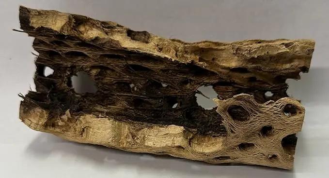 Natural Cholla Wood Chunk Air Plant Display Holders Individually Unique Decorative Stands Holder (Cholla Chunk) by GreenHaven Gardens